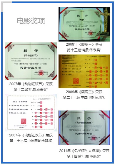 团队参与电影奖项